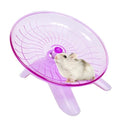 Hamster Flying Saucer Silent Running Exercise Wheel Hamster Wheel Saucer for Hamsters, Gerbils, Mice,Hedgehog and Other Small Pets