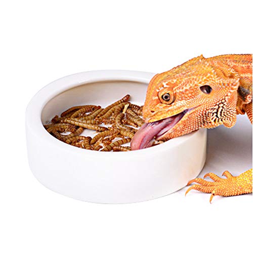 Reptile Food Water Bowl, 2 pcs Ceramic Mealworm Bowl, Large | Anti-Escape, Reptile Water Feeder ,Worm Dish for Lizard Gecko Bearded Dragon - size: Large