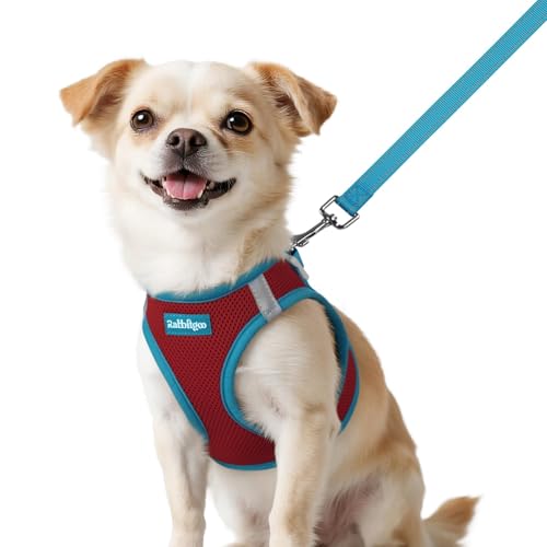 rabbitgoo Dog Harness Small Sized and Leash Set, Step in Soft Vest | Breathable Mesh, Easy Wear with Hook & Loop, Light and Reflective for Walking, Multi-colored, Red & Teal, XXS - color: Red & Teal, size: XXS (Chest: 12.4"-14.2")