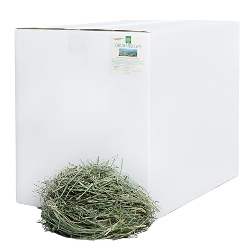 Small Pet Select Orchard Grass Hay for Rabbits & Guinea Pigs, 40 lb | Premium Natural Grass Hay, Grown in USA, Soft High Fiber Forage, For Chinchillas, Bunnies, Hamsters & Small Pets - size: 40 Pound (Pack of 1)