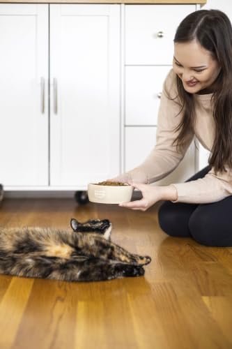 Pearhead Ceramic Cat Bowl, Holds 12 oz, Taupe Meow Design - color: Taupe "Meow", size: Single Bowl