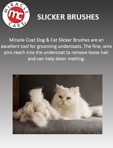Miracle Care Small Slicker Brush for Cats | Grooming Brush Removes Loose Undercoat, Reduce Shedding and Matting, Flexible Pins Protect Skin, Ergonomic & Cushioned Handle - size: Small, style: Slicker Brush for Cats