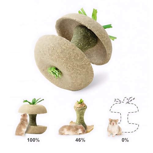 mini&moe Hamster Chew Toys for Teeth - Guinea Pig Chew Toys for Teeth Food Chews Treats Hamster Cage Accessories for Rabbit, Bunny, Chinchilla, Rat and Small Animal 3.1in Apple Core Shaped