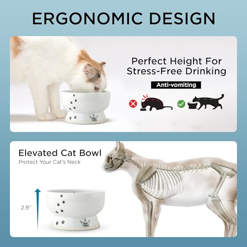 Necoichi Ceramic Elevated Cat Water Bowl, Whisker-Friendly (Cat, Regular) - color: Cat, size: Regular