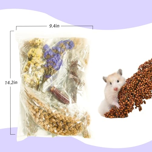 Natural Hamster Flower & Herb Habitat Deocr, Edible Hamster Sprays Flowers Bedding Mate, Hamsters Cage Enrichment Decoration Accessories for Dwarf Syrian Hamster Gerbil Mice Degus
