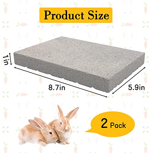 BNOSDM Rabbit Grinding Claw Pads 2Pack Bunny Scratch Foot Pads Natural Hamster Lava Stone for Teeth Grinding White Rabbit Scratching pad Chew Toy for Guinea Pig Ferret Chinchilla Mouse - color: White 2x Large