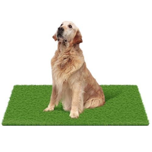 MAYSHINE Fake Grass for Dogs, Artificial Turf Grass Indoor Outdoor, Mat for Dogs Soft Blades, Cesped Artificial for Patios, Dog Astro Turf for Balcony, Quick Clean, Easy Rinse Patio Rug, 70"x40" - size: 70" x 40", style: Without Drainage Holes