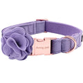ARING PET Velvet Dog Collars, Purple Soft Pet Collar with Detachable Felt Flower Metal Buckle for Puppy Small Medium Large Boy Girl Dogs-XS - color: F-Purple, size: X-Small (Pack of 1)