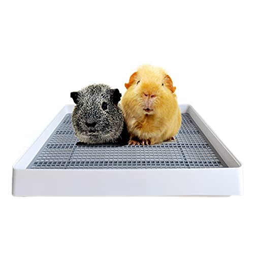 PODOO Rabbit Litter Box – Training Potty Tray for Guinea Pig & Small Pets · Spacious Grid Pan with Low Entrance, Easy-Clean & Odor-Resistant—Helps Keep a Clean Cage and Reduce Mess | Low-entry litter tray with removable grate for cleaner small-pet cages;