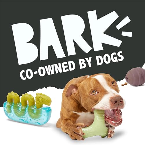 BarkBox Sven the Hedgie Rubber Dog Toy - Toy for Small Dogs | Squeaky Natural Rubber Chew Toy with Soft Spike Textures | Durable - color: Sven the Hedgie - Small