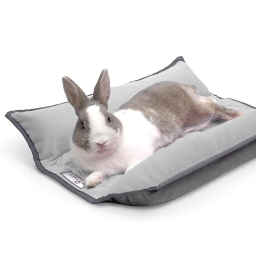 Paw Inspired Snuggle Bunny Bolster Bed, Gray/Light Gray, 17x17 Inch | Reversible Flop Mat, Ultra-Soft Fleece Bedding with Padded Sides for Rabbits, Cats, Dogs, Small Pets and Animals - color: Gray/Light Gray
