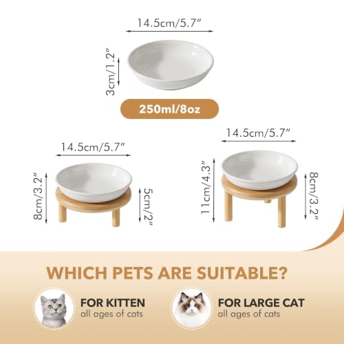 Havniva Elevated Cat Bowls, Ceramic Cat Bowl with Bamboo Stand Wide Opening | 5.7” Raised Cat Food Bowls, Whisker Friendly Cat Dish, Anti-Slip Cat Water Bowls, Shallow Cat Bowls, Cat Food & Water Bowl - color: White