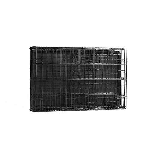 Amazon Basics Portable, Foldable Metal Wire Dog Crate with Removable Tray, Single Door, Divider Panel, Quick Setup, 30 x 19 x 21 in, Black - size: 30.0"L x 19.0"W x 21.0"H, style: Single Door w/ Divider