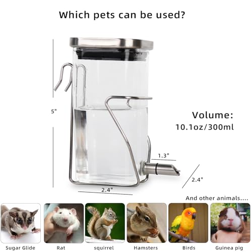Hamster Water Bottle, Small Animal Glass Waterer, Stainless Steel Nozzle No-Drip Drinker Waterer for Sugar Glider, Rat and Birds (10.1oz)