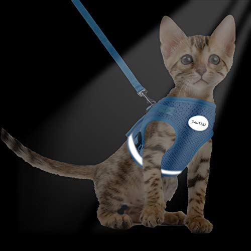Cat Harnesses and Puppy Harness with Leashes Set, Escape Proof Cat Harness, Adjustable Reflective Soft Mesh Vest Fit Puppy Kitten Rabbit Ferrets's Outdoor Harness - color: SkyBlue, size: S (Chest: 9" - 11")