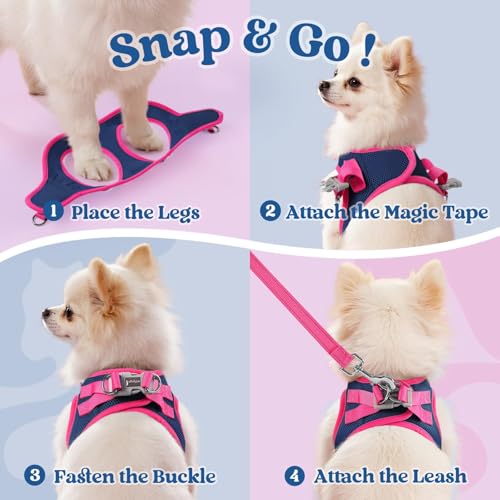 rabbitgoo Dog Harness Small Sized and Leash Set, Step in Soft Vest | Breathable Mesh, Easy Wear with Hook & Loop, Light and Reflective for Walking, Multi-colored, Navy Blue & Rose Red, XXS - color: Navy Blue & Rose Red, size: XXS (Chest: 12.4"-14.2")