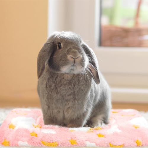 3PCS Guinea Pig Bed, Soft Rabbit Bedding, Fleece Bunny Mat | Warm Plush Cage Liner, Sleeping Blanket for Hamster Ferret Squirrel Hedgehog Rat - color: 04 - (3 Pcs)