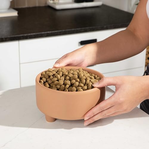 Waggo Uplift Ceramic Dog Bowl for Small Medium and Large Breeds - Heavyweight and Durable Pet Food and Water Dish Crock, Dishwasher Safe, Modern, Elevated Feeder (Clay, Large) - color: Clay, size: Large