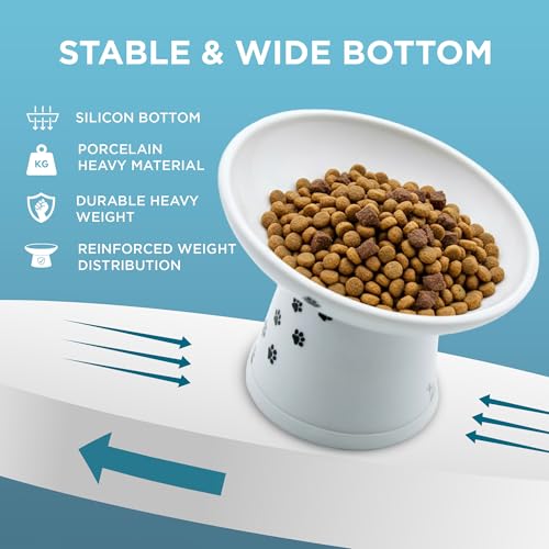 Necoichi Ceramic Elevated Cat Food Bowl, 15° Tilted (Cat, Extra Wide Tilted) - color: Cat, size: Large Extra Wide Tilted