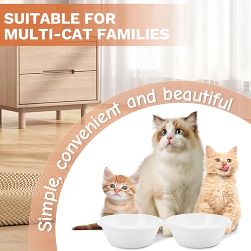 2PCS Cat Bowls Pet Feeding Dish 6.3 Inch, Wide Pet Bowl Pet Feeding Bowl for Indoor Cats, Replacement Food and Water Bowl, Wide Shallow Feeder Bowls for Kitten, Puppy, Rabbit (White) - color: White