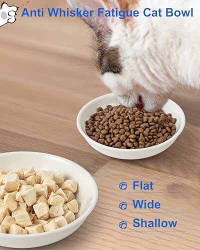 Ceramic Cat Bowl Whisker Friendly, Non-Slip Cat Food Bowls 3-Pack | Whisker Fatigue Cat Dishes, Shallow Wide Cat Plate, Lead-Free, Silicone Base, Microwave Dishwasher Safe, Wet Dry Food Water - color: 3 Packs