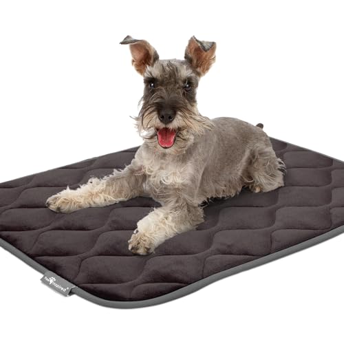 Paw Inspired Washable Padded Crate Mats for Dogs, Gray, 35x22 Inch | Fits 36-inch Kennels, Leakproof, Waterproof Bottom, Plush Dog Pad, Pet Bed - color: Gray, size: 36 Inch