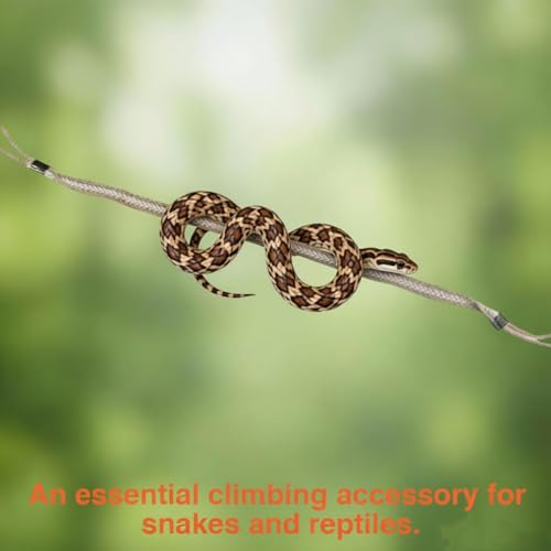 Snake Enrichment Climbing Toys Pet Habitat Accessories for Snakes Lizards Geckos Easy Install Suction Cups Carabiners Slim Python Reptile Jungle Gym Small Playground Exploring&Climbing Accessories