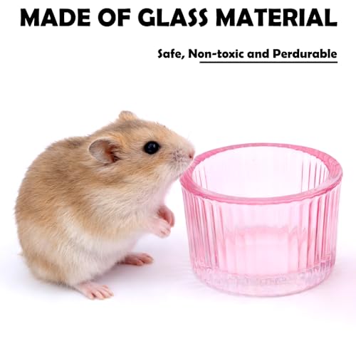 2 Pack Hamster Bowl Glass Food and Water Dish Anti-Turning Colorful Feeder for Dwarf Syrian Hamster Gerbil Mice Rat (Random Color)