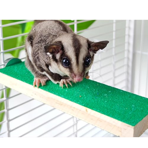 Sugar Glider Toys Cage Steps - Small Animal Climbing Steps Sharpening Claws Sugar Glider Enrichment Toys Scratching Snadpaper for Cages (Green + Orange) - color: Green + Orange