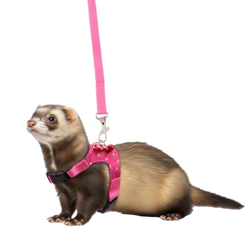 Hypeety Small Animal Harness Vest and Leash Set Soft Mesh Harness Outdoor Leash Traction Rope for Small Pet Hamster Rabbit Guinea Pig Ferret Kitten (M, Pink Star) - color: Pink Star, size: M