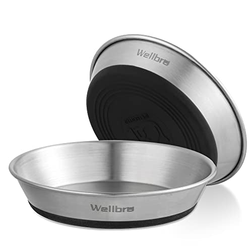 Cat Bowls, 2 Pcs Stainless Steel Cat Bowls for Food and Water, Whisker Fatigue Shallow Non-Slip Dishes Plates for Small Dog Puppies Cats - color: 2 Non-slip Bowls