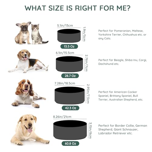 SPUNKYJUNKY 13.5OZ Ceramic Dog and Cat Bowl, Modern Cute Weighted Food Water Bowl for Replacement Black (2 Pack) - color: Black, size: 1.7 CUPS × 2