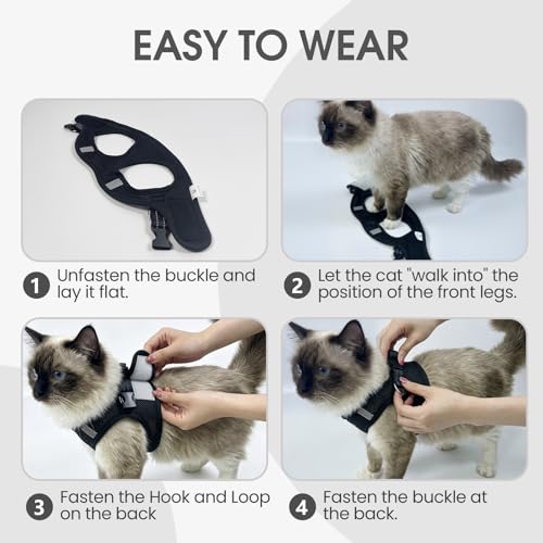 Cat Harness and Leash Escape Proof, Soft Breathable Mesh Kitty Walking Vest, Adjustable Step-in Kitten Harness Set with Reflective Strip for Small Cats - color: Black, size: Small