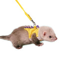 Ferret Harness and Leash Set Small Animals Vest Harness with Safe bell Dinosaur Shaped Walking clothes for Baby Rabbit Guinea pig Teacup Chihuahua Mouse and other small pet.(Yellow Dinosaur) - color: Yellow Dinosaur