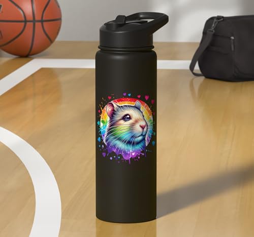 Degu Stainless Steel Insulated Water Bottle - color: Black