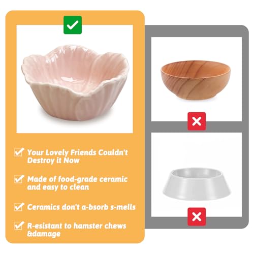 Tfwadmx 2 Pcs Hamster Food Bowl, Ceramic Pet Hamster Bowl Dwarf Hamster Food Bowl Feeder Hamster Water Rat Bowl Small Animal Food Dish for Golden Bears, Hedgehogs, Dutch Pigs, Parrots (Pink) - color: Pink