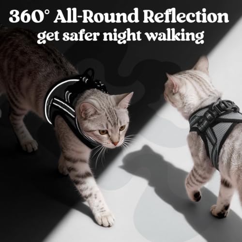 rabbitgoo Cat Harness and Leash Set, Step-in Soft Vest, Grey | Escape Proof, Lightweight, Easy-on & Adjustable, Hook & Loop with Buckle, Reflective, for Kittens & Small Cats Walks, S - color: Grey, size: S