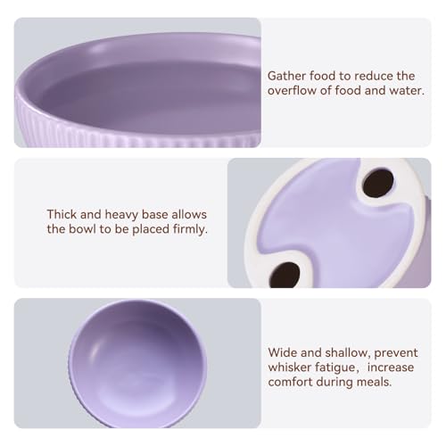 Ceramic Elevated Cat Bowls-Water Bowl, 15° Tilted Design, Anti-Vomiting & Spine Protection, Prevent Whisker Fatigue for Kittens to Adult Cats and Small Dogs (White-15° Cat Bowls-2) - color: White-15° Cat Bowls-2