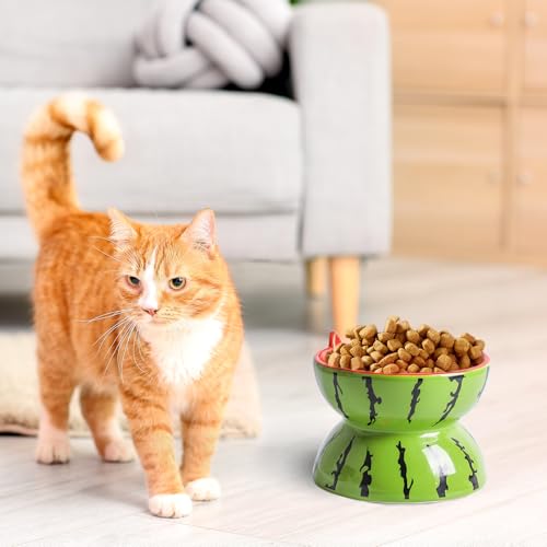 Hamiledyi Ceramic Raised Cat Bowl 5In Elevated Wide Cat Bowl for Food and Water Anti Vomiting Tilted Pet Feeder Dish for Indoor Cats and Small Dogs(Watermelon)