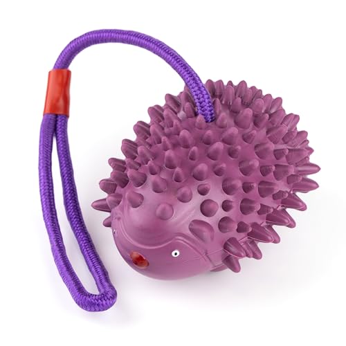 Fuzzl Eco Rubber Chuck & Treat Hedgehog - Purple - Long Lasting Dog Chew Toys for Aggressive Chewers Strong Dog Toy for Dogs Durable Puppy Toys - style: Hedgehog Purple
