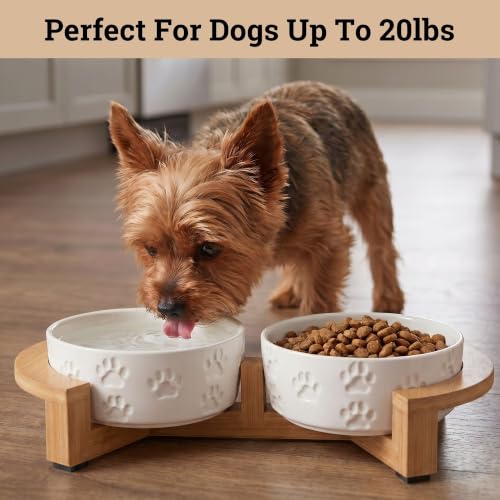 Ceramic Dog Bowl Set of 2, Anti-Skid Bamboo Stand, Elevated, 2 Cups Each | Thick Ceramic Food and Water Bowls Set of 2, Dishwasher Safe, Anti-Skid Rubber Base, 2 Cups per Bowl, Sturdy Bamboo Stand - color: White with Stand, size: Small