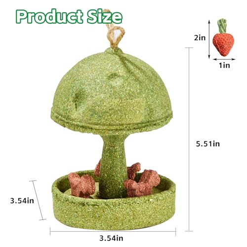 Hamiledyi Guinea Pig Chew Toys Rabbit Chew Toys for Teeth Natural Hamster Treats Prevent Teeth Overgrowth for Syrian Hamsters Gerbils Rat Bunny Chinchilla Small Animals - style: Style B