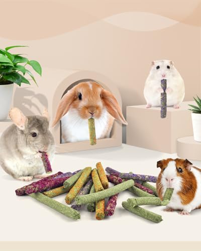 Bissap 22PCS Rabbit Chew Sticks, Mixed Natural Flower Rose Dahlberg Daisy and Forget-me-not Timothy Hay Chew Toys Treats for Rabbit Bunny Chinchilla Guinea Pig Hamster Other Small Animals Molar Snacks - size: 22 pieces