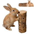 Apple Wood Chew Toys for Small Animals - Molar Wood Treats & Cage Accessories for Rabbits, Hamsters, Guinea Pigs, Mouse, Bunny Teeth Care - size: Large