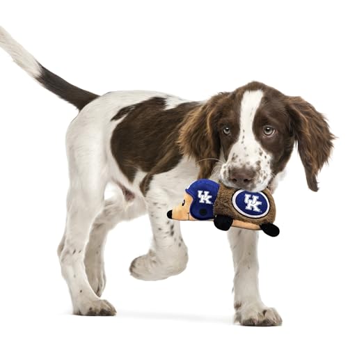 NCAA Kentucky Wildcats Plush Hedgehog Toy for Dogs & Cats, Cool Soft Pet Toy for Fun and Interactive Play, Dog Chew Toy with Squeaker, Licensed Hot Pet Toy - color: Kentucky Wildcats