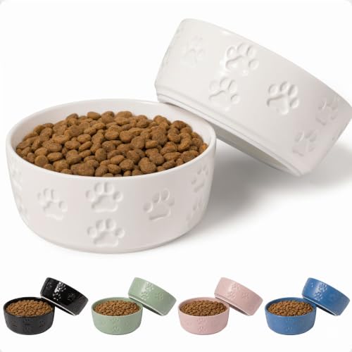 Ceramic Dog Bowl Set of 2 with Anti-Skid Base, 5.5"W x 2"H, 2 Cup Capacity | Thick Ceramic, Dishwasher Safe, Anti-Skid Rubber Base, 2 Cups per Bowl, Ceramic Food and Water Bowls Set of 2 for Small Dogs - color: White, size: Small