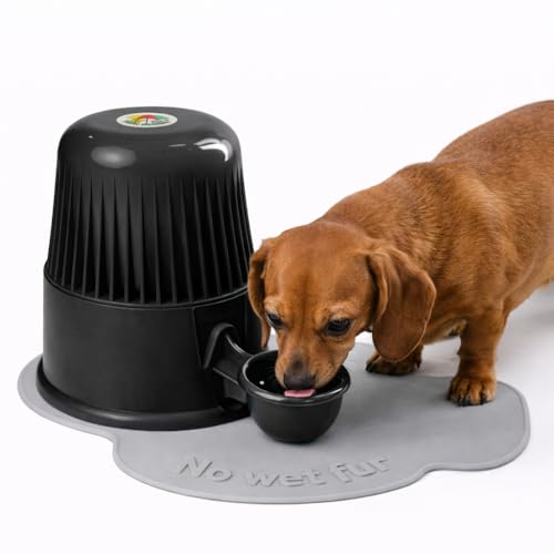 Pet Water Dispenser for Dogs and Cats, 67.6 oz – Gravity-Fed Water Bowl for Clean Drinking, Prevents Wet Fur, BPA-Free Polypropylene, (Opaque Black) - color: Opaque Black