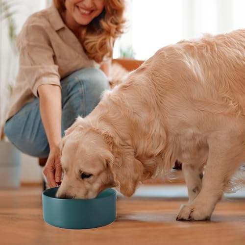 6'' Ceramic Dog Bowl - 30Oz Classic Dogs Food & Water Bowl for Small and Medium Breed Dogs, Heavy Duty Non-Slip Dog Dishes, Food Grade Stoneware Pet Bowl, Dishwasher & Microwave Safe, Green - color: Bowl - Green, size: 6 inch