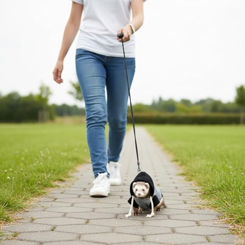 Small Pet Harness Vest and Leash Set Ferret Clothes Hoodies for Ferrets for Outdoor Walking Rabbit Ferret Guinea Pig Bunny Hamster Puppy Kitten (Black and White Striped Clothes + Leash) - color: Black and white striped clothes + leash