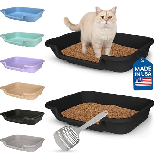 KittyGoHere Senior Cat Litter Box, Large Litter pan with Long-Handle Jumbo Scoop, Open Top Low Entrance Kitty Litter Box, Lightweight Low Entry Litters Box, Durable, Made in USA (2 Pack - Black) - color: Black, size: Large(2 Pack) with Scoop